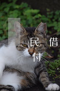 民間借貸僅有借據(jù)但無(wú)支付憑證，如何才能勝訴？